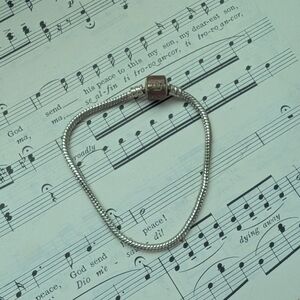Silvertone Charm Bracelet -no Charms